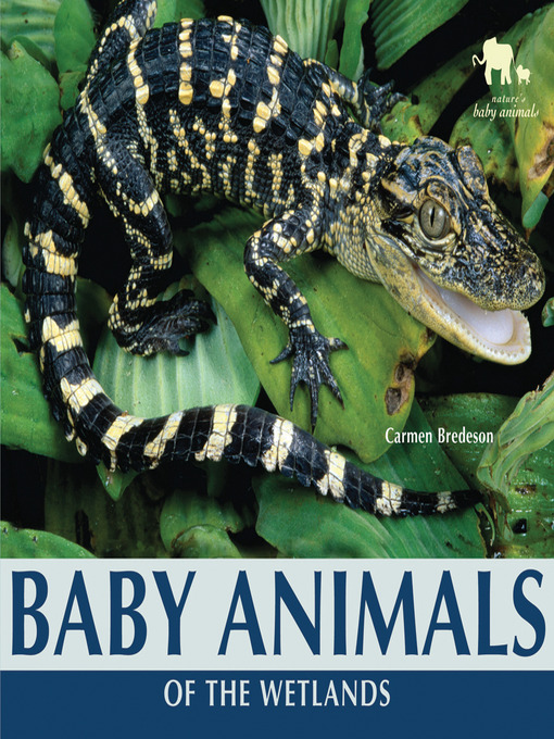 Title details for Baby Animals of the Wetlands by Carmen Bredeson - Available
